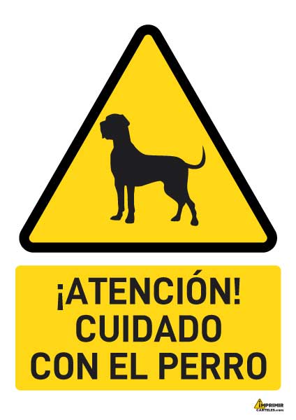 Cartel Plastificado A4 Hoja Fotografica - Imagen 4