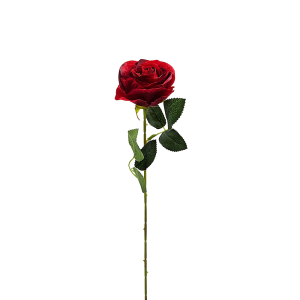 Vara Rosa Chica 51CM