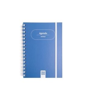 Agenda 2026 tapa dura 10x15cm big life