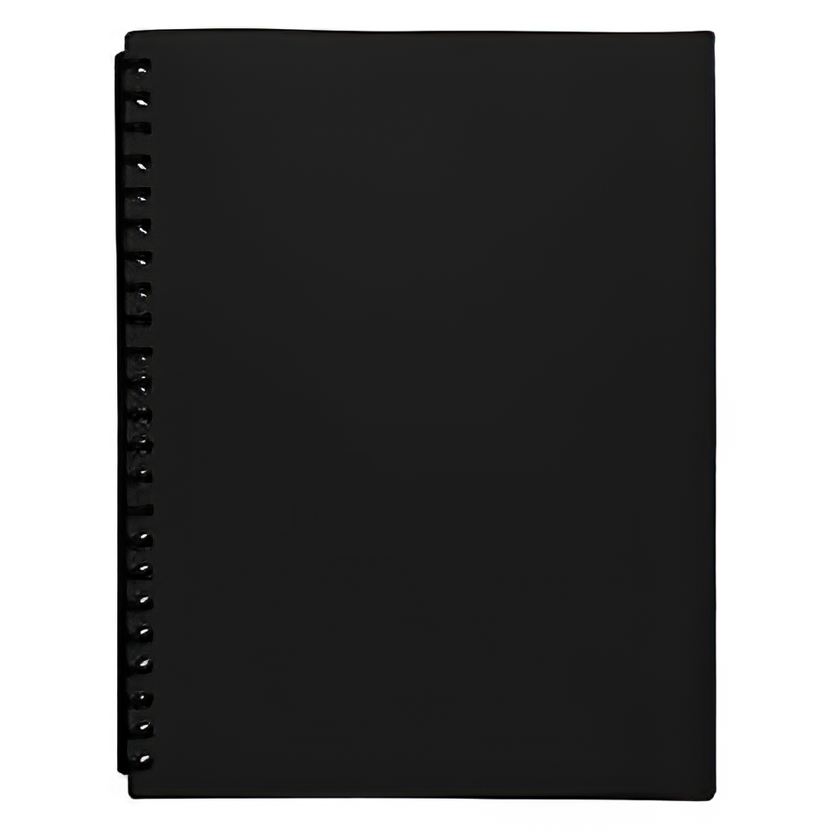 Carpeta a4 20 Fundas recambiable Teoria