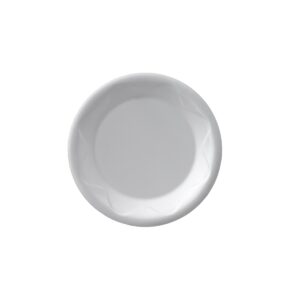 Plato Descartable 23cm Espuma Blanco X20